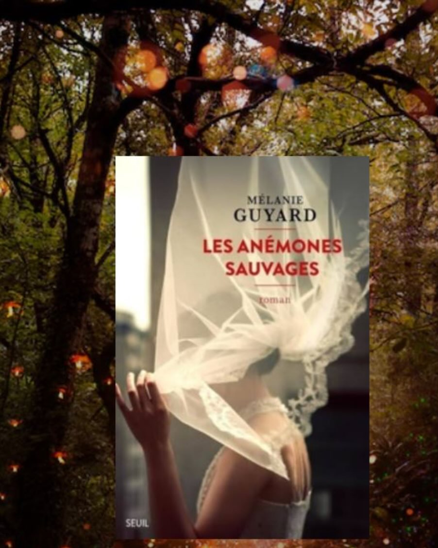 Vous consultez actuellement Les Anemones sauvages – Melanie Guyard