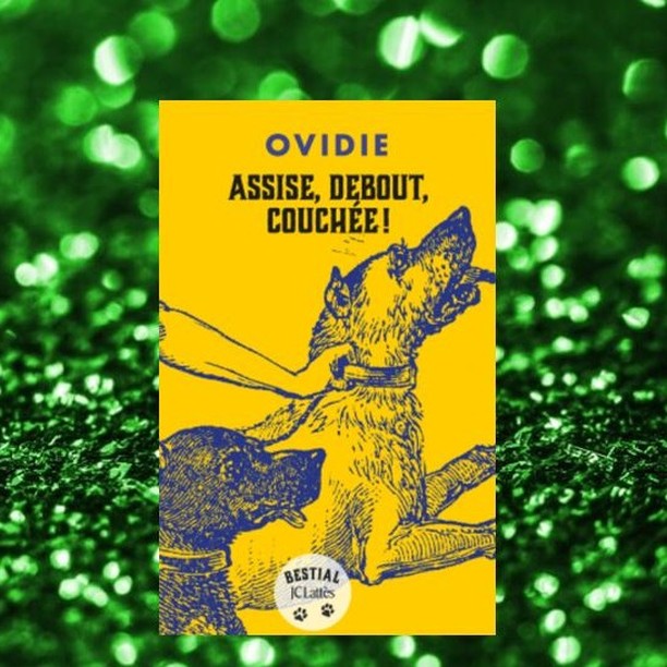 Vous consultez actuellement « Assise, debout, couchée» par Ovidie