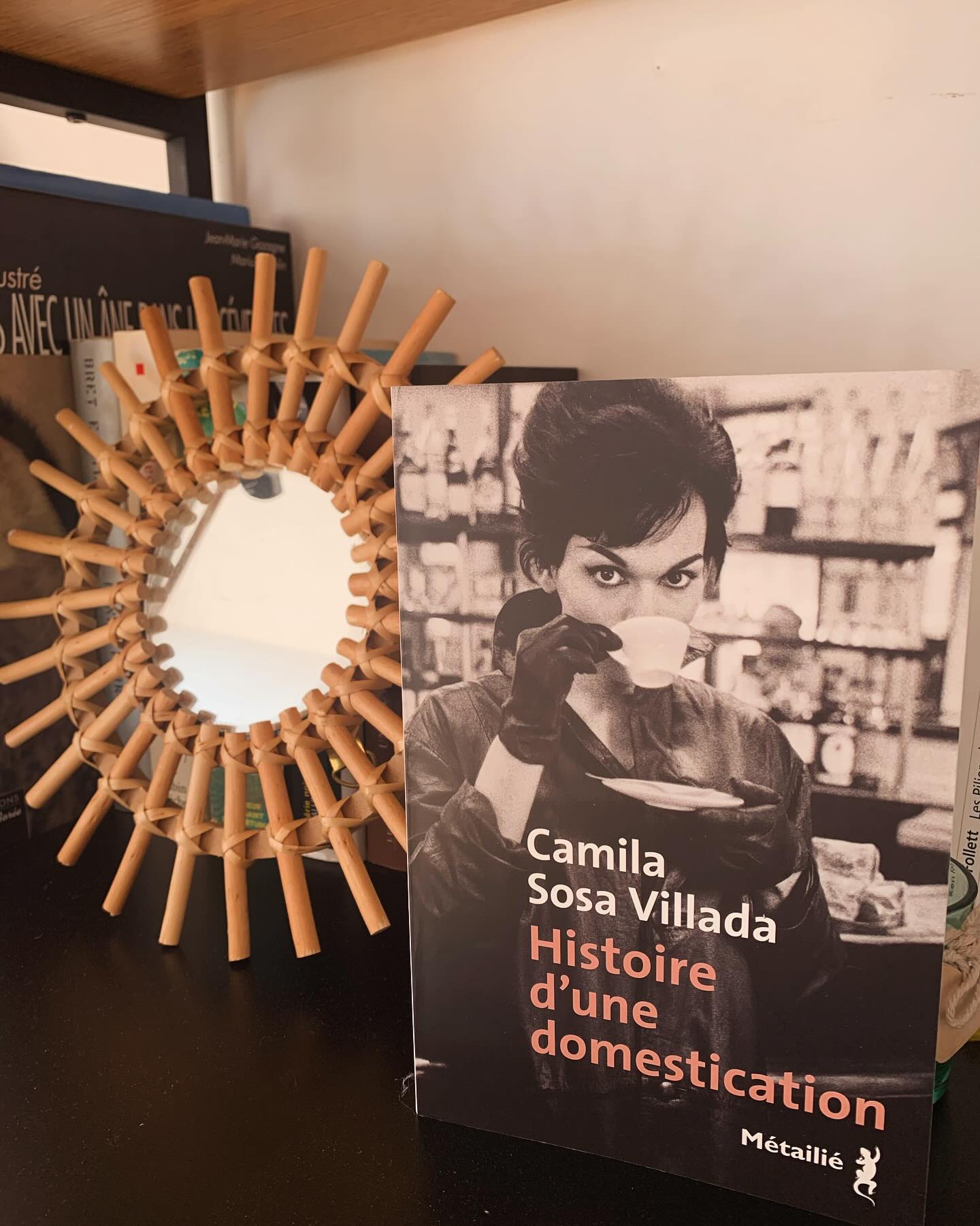 Vous consultez actuellement « Histoire d’une domestication » par Camila Sosa Villada