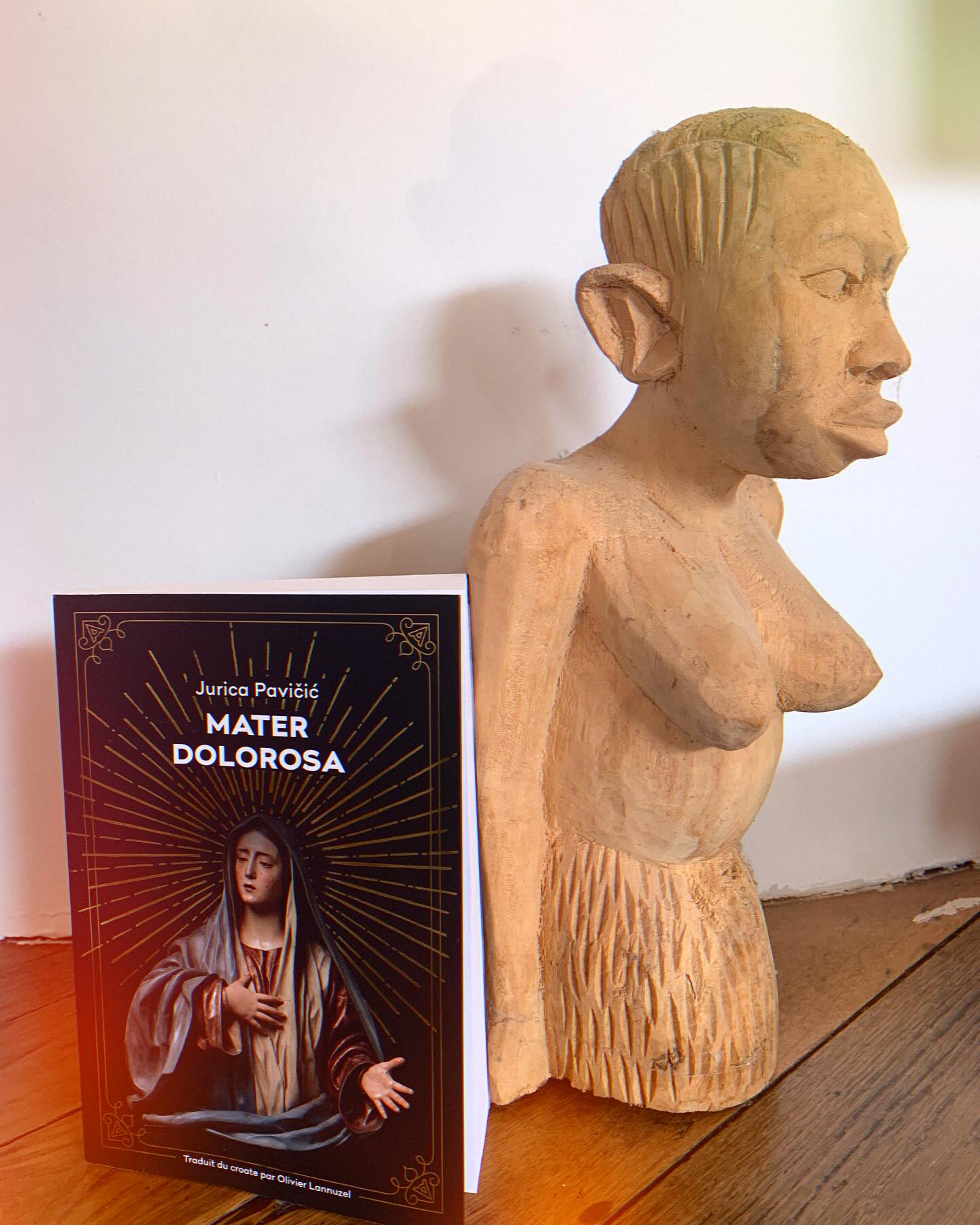 Vous consultez actuellement « Mater dolorosa » par Jurica Pavicic