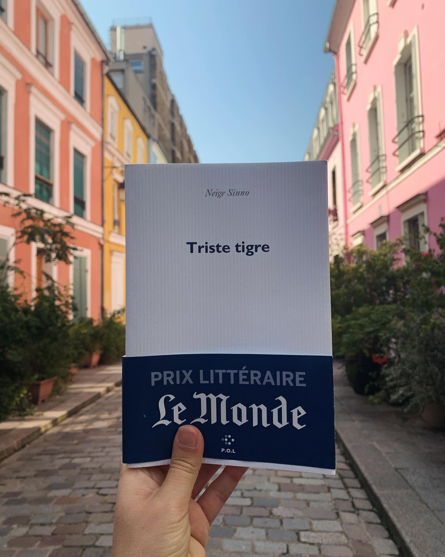 Vous consultez actuellement « Triste tigre » par Neige Sinno